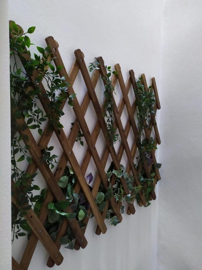 Casa Urquinaona Apartment Cadiz Exterior photo
